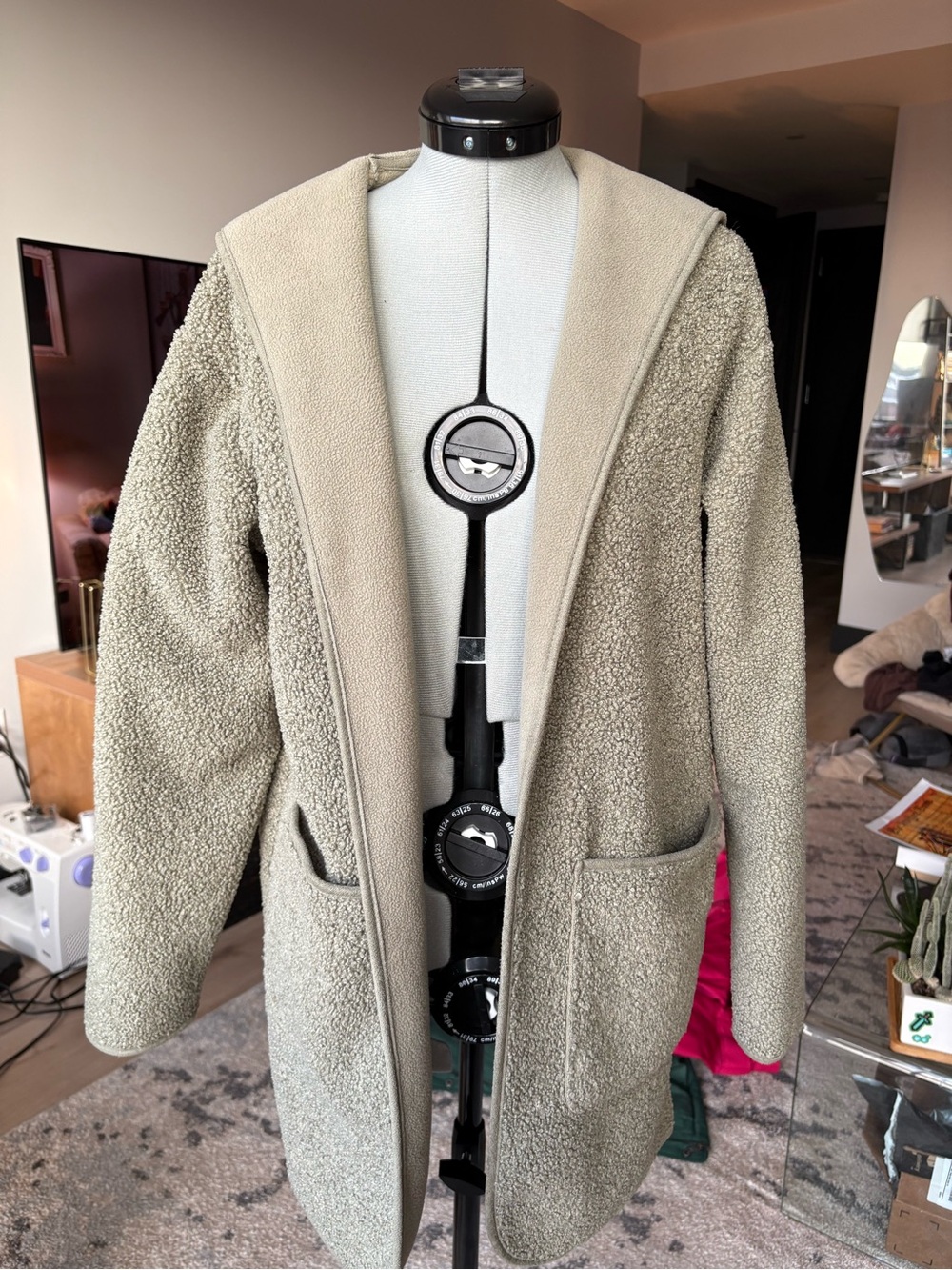 Joie Hooded Teddy Sherpa Coat in Light Green